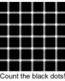 /album/fotogaleria/count-the-black-dots-jpg/